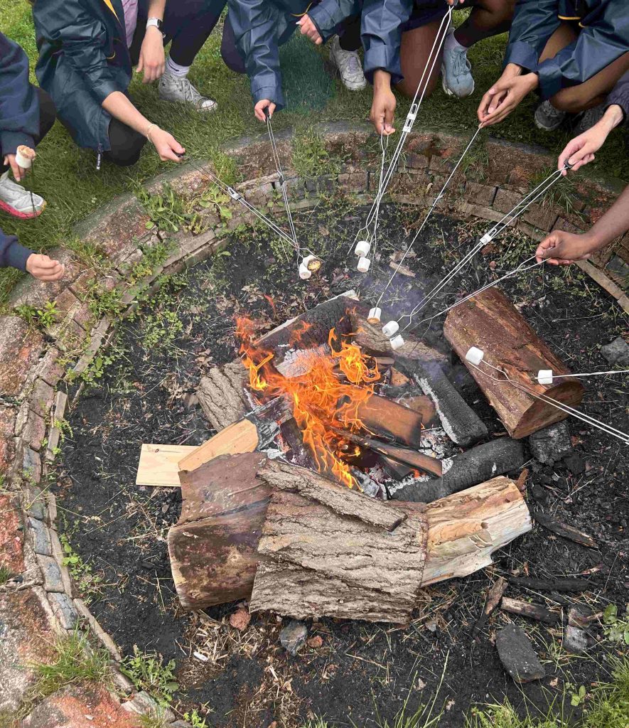 Marshmallows roasting over a campfire with logs