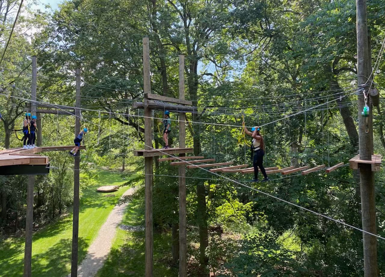 Participants traverse elevated ropes course in forest.
