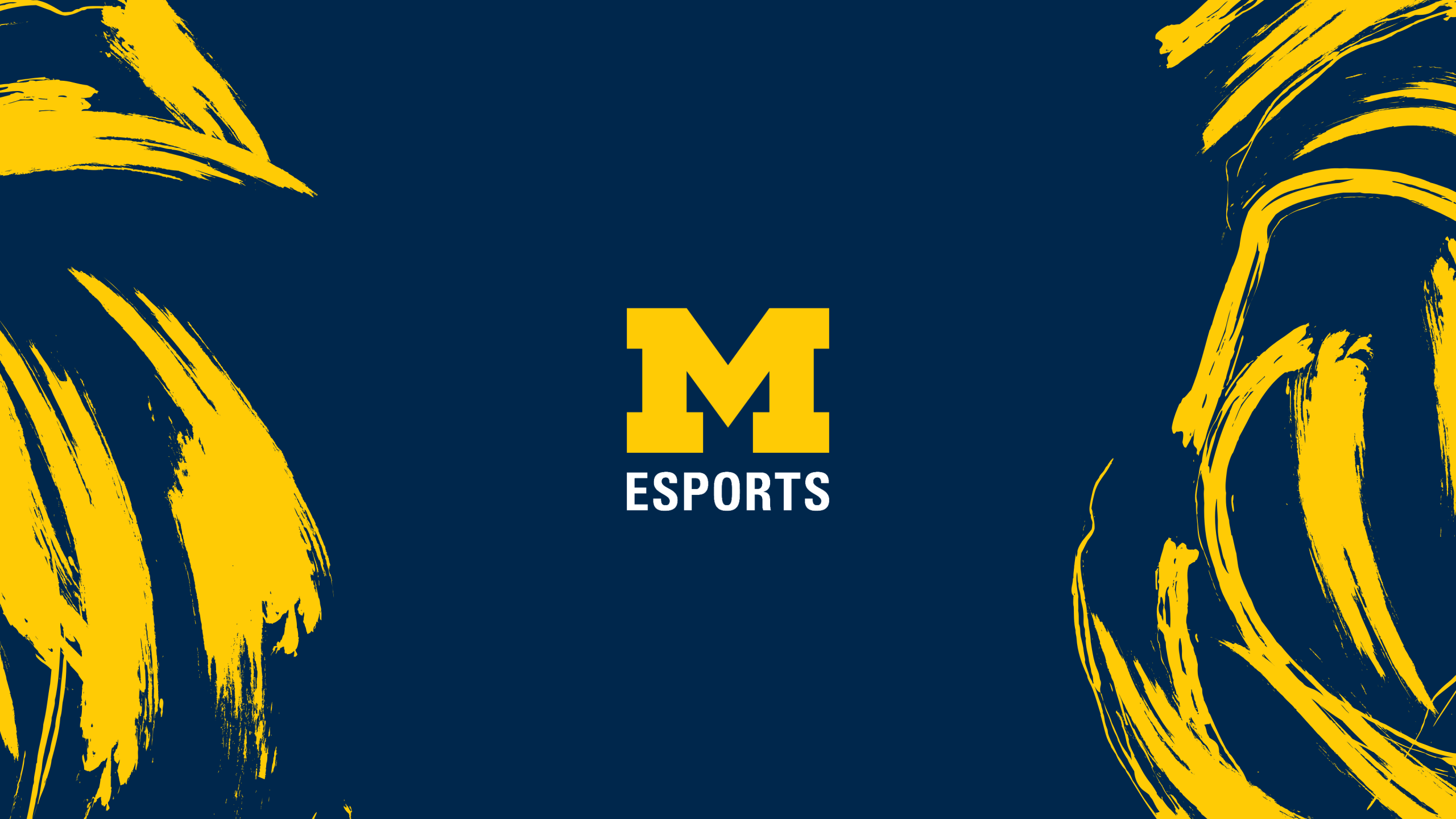 Michigan Esports Banner