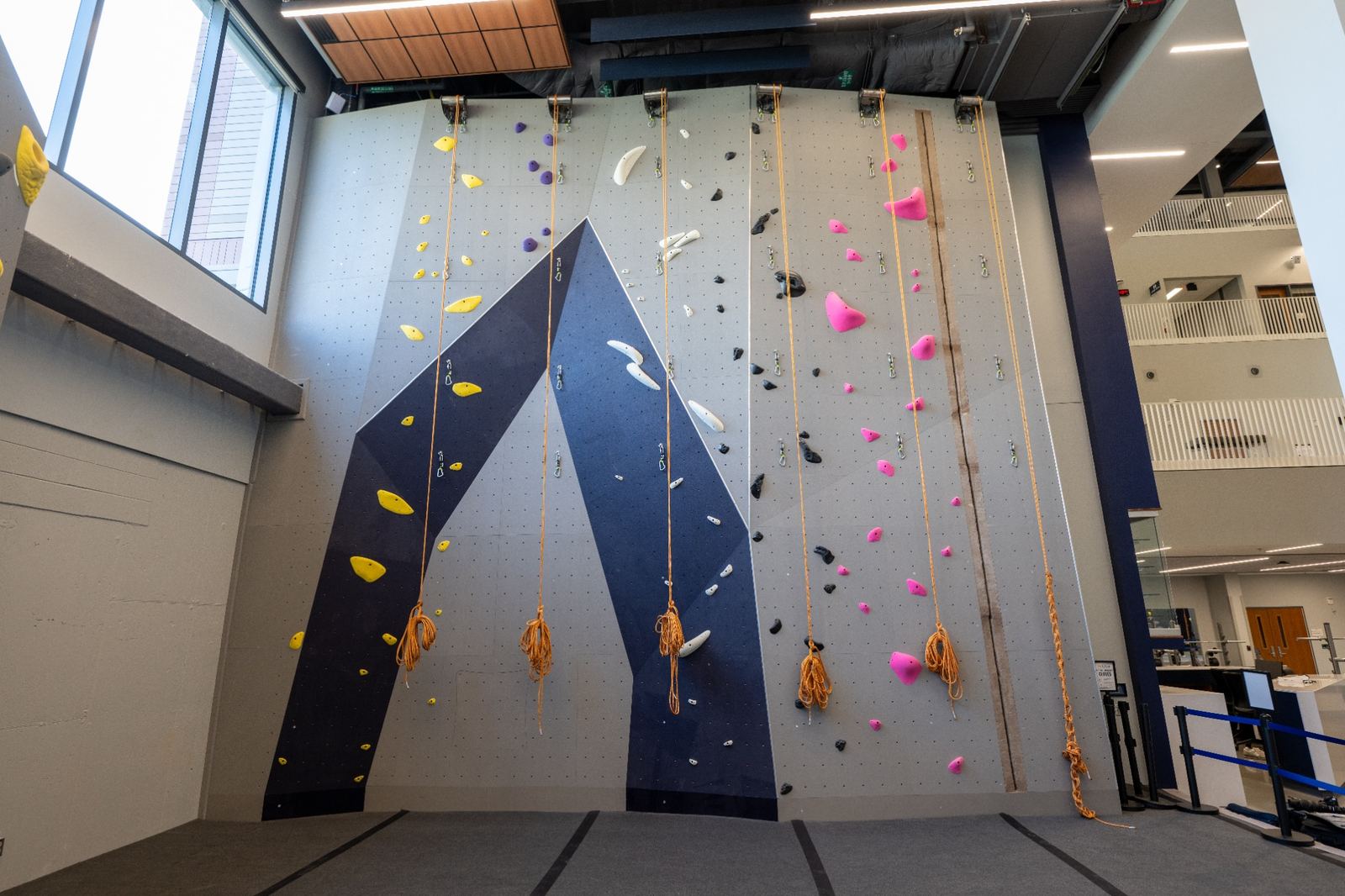 Indoor rock climbing wall with colorful climbing holds, hanging ropes, and a large blue geometric design