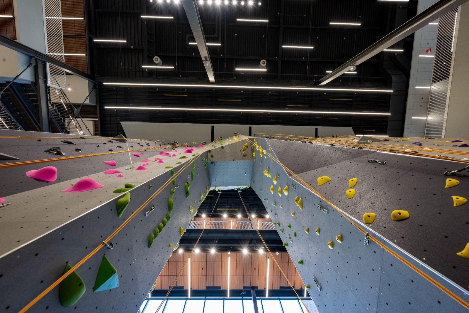 Upward view of an indoor rock climbing wall with colorful holds and ropes extending toward the ceiling