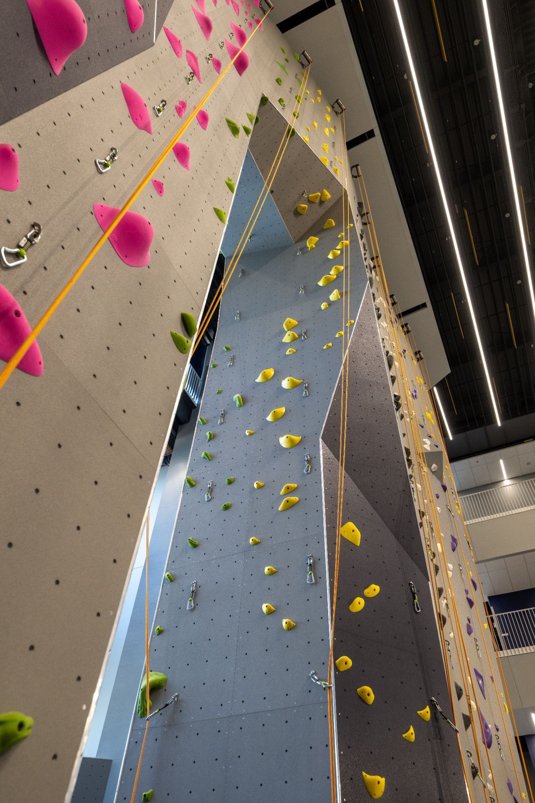 Tall indoor rock climbing walls with colorful climbing holds and hanging ropes