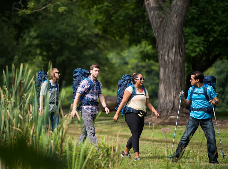 Four people hike with backpacks and trekking poles in a green wooded area.